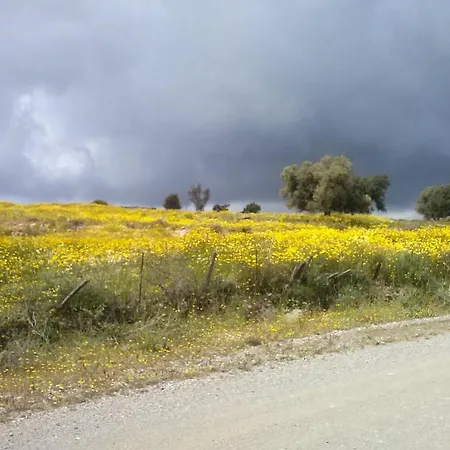Penzion Costas - Popi 2*